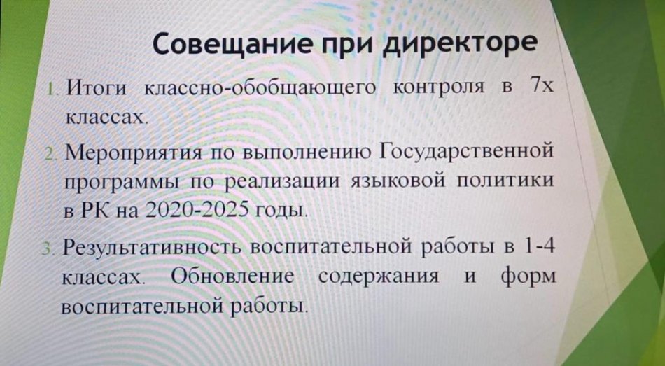 Директор жанындағы кеңес